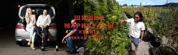 тгк Нягань