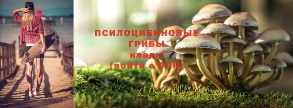тгк Абинск