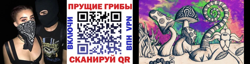 Галлюциногенные грибы прущие грибы Мегион